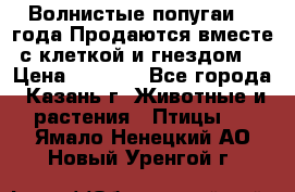 Волнистые попугаи, 2 года.Продаются вместе с клеткой и гнездом. › Цена ­ 2 800 - Все города, Казань г. Животные и растения » Птицы   . Ямало-Ненецкий АО,Новый Уренгой г.